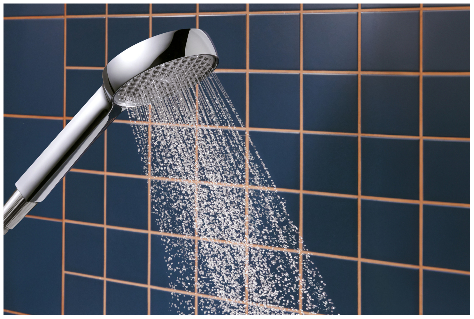 Hansgrohe Handbrause Activera S 95 1jet EcoSmart chrom
