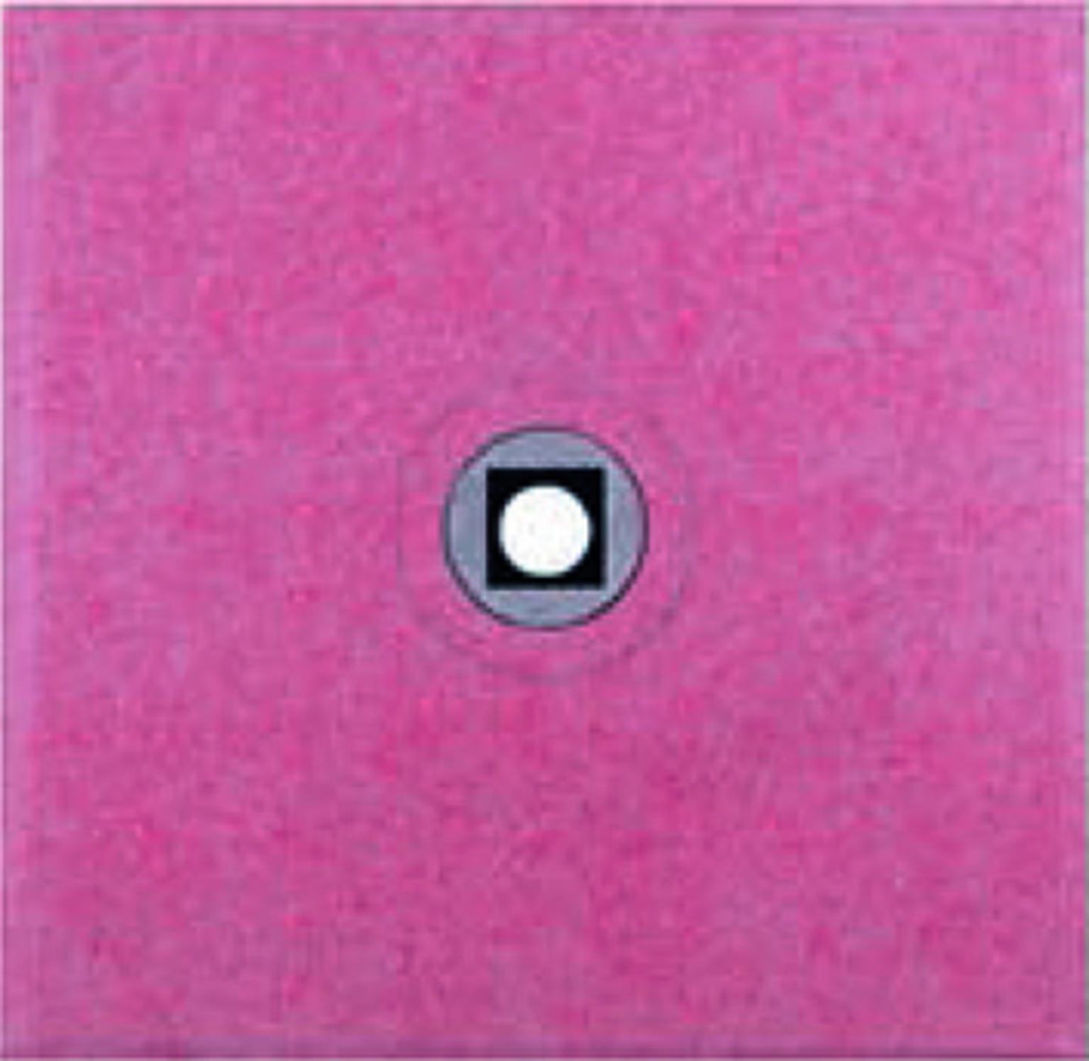 VIGOUR Duschelement individual 2.0, 80x80x4,0cm Ablauf mittig, rollstuhlbefahrbar - Bild 1