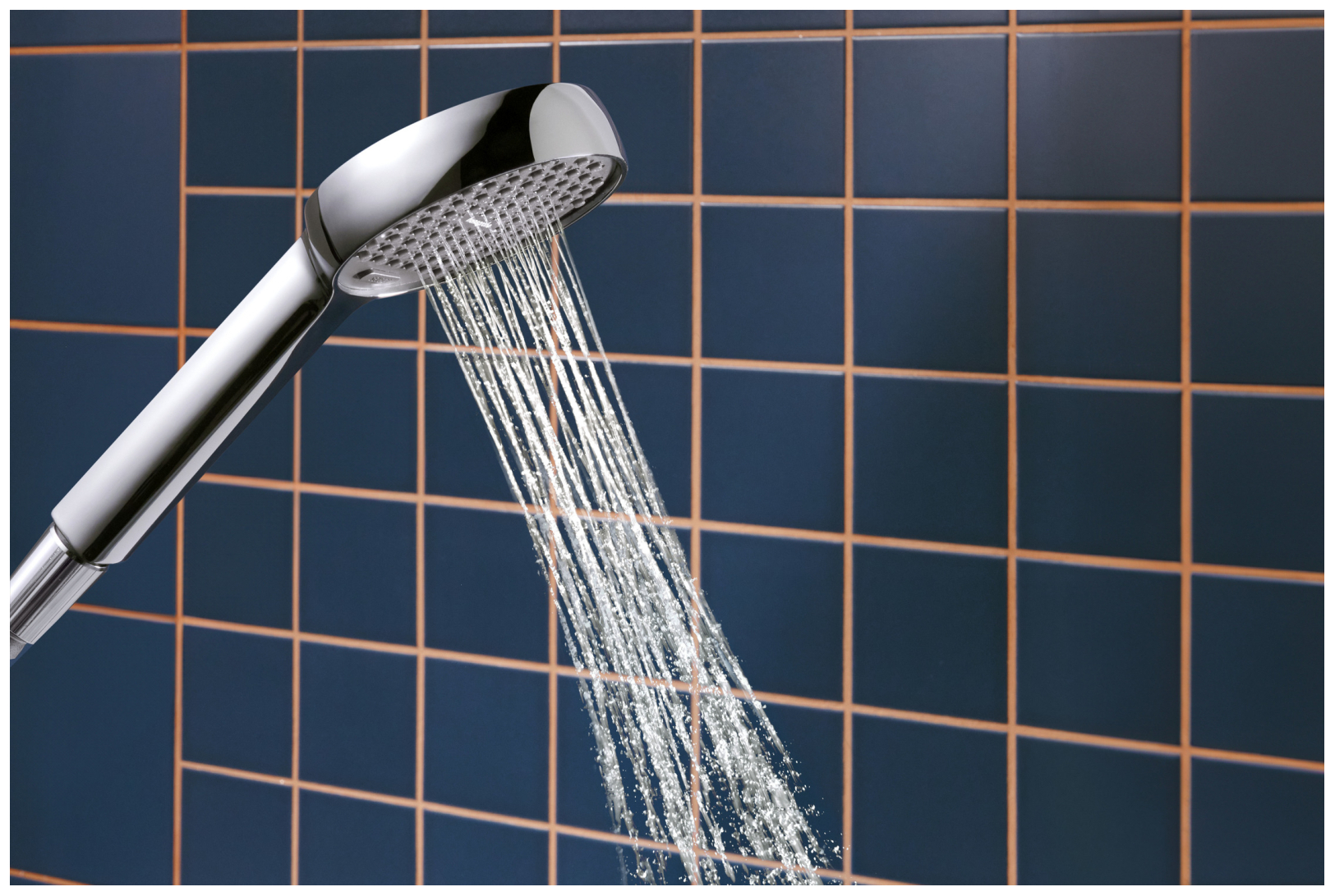 Hansgrohe Handbrause Activera Select S 95 2jet EcoSmart chrom