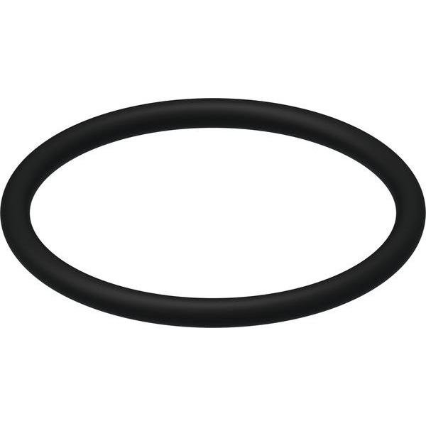 TECE O-Ring 9820005, Ersatzteil für Ablaufventil A1 und A2 - Bild 1